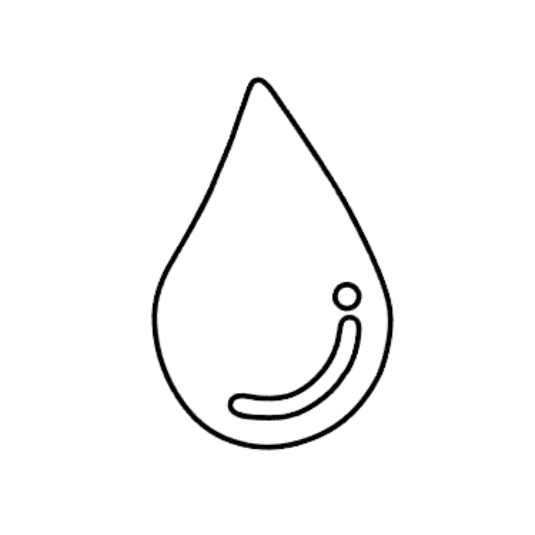 Logo DAMP